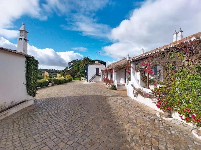 Quinta T11 para Venda em Guia Foto 9