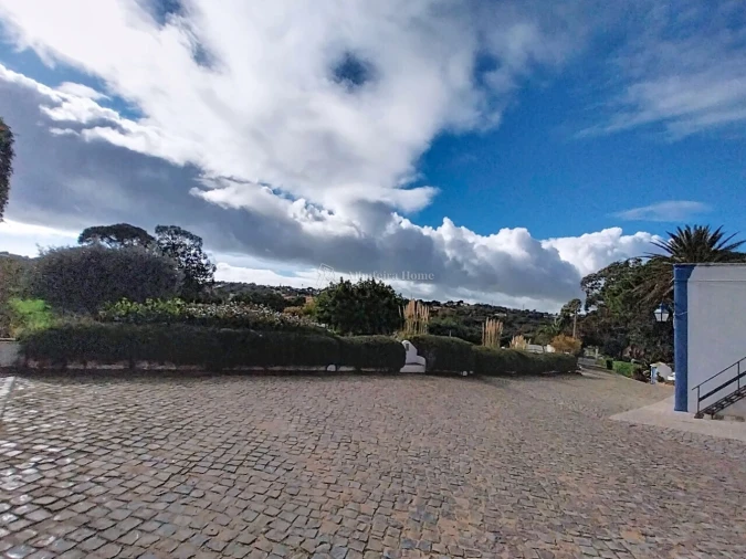 Quinta T11 para Venda em Guia Foto 10