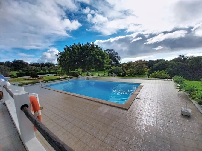 Quinta T11 para Venda em Guia Foto 12