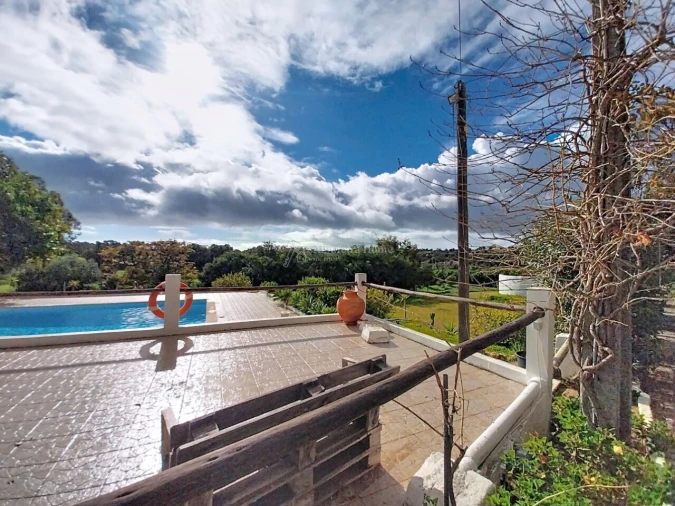 Quinta T11 para Venda em Guia Foto 14