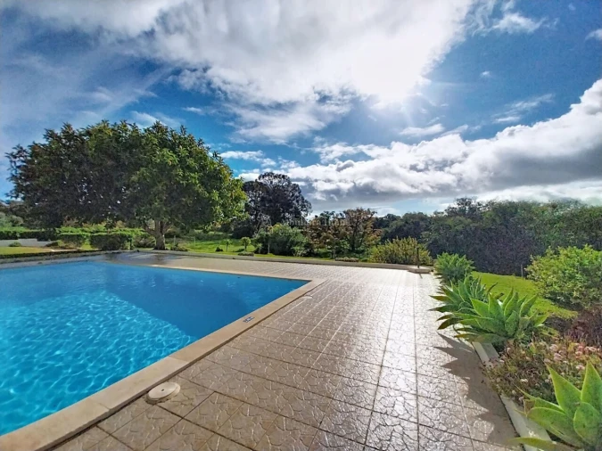 Quinta T11 para Venda em Guia Foto 3