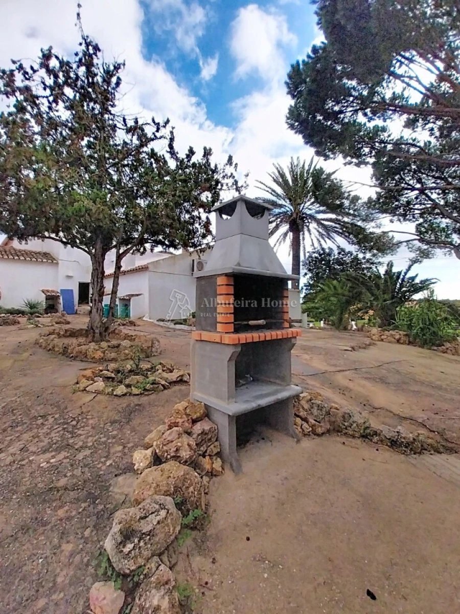 Quinta T11 para Venda em Guia Foto 24