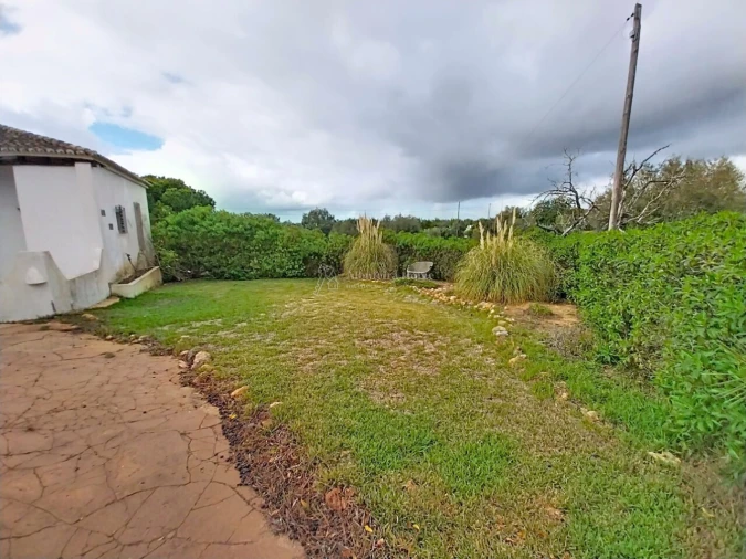 Quinta T11 para Venda em Guia Foto 25