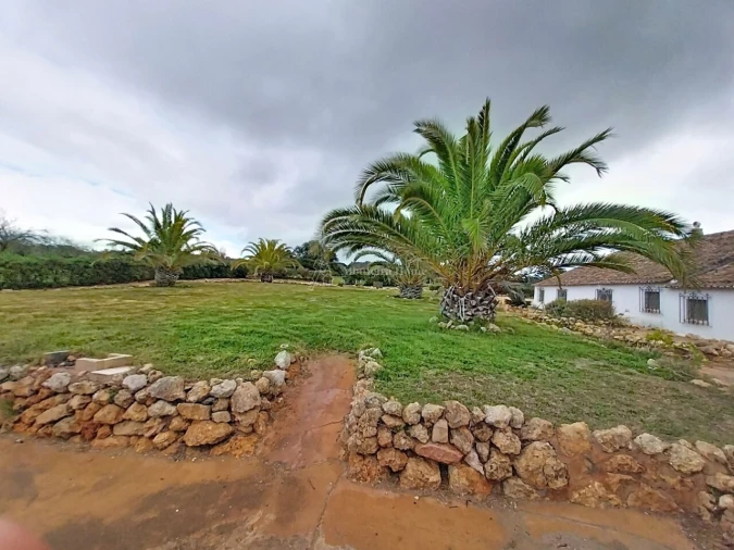 Quinta T11 para Venda em Guia Foto 38