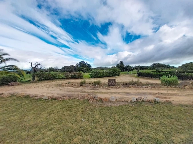 Quinta T11 para Venda em Guia Foto 50