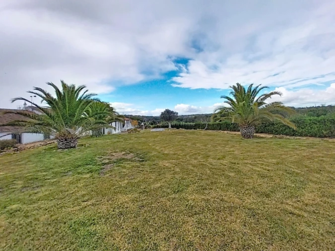 Quinta T11 para Venda em Guia Foto 51