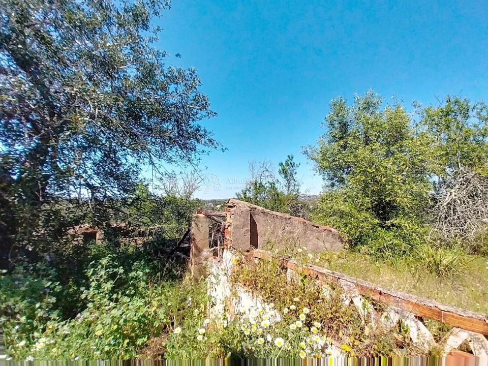 Quinta T3 para Venda em Algoz e Tunes Foto 4