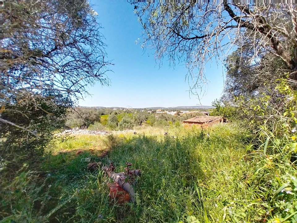 Quinta T3 para Venda em Algoz e Tunes Foto 9