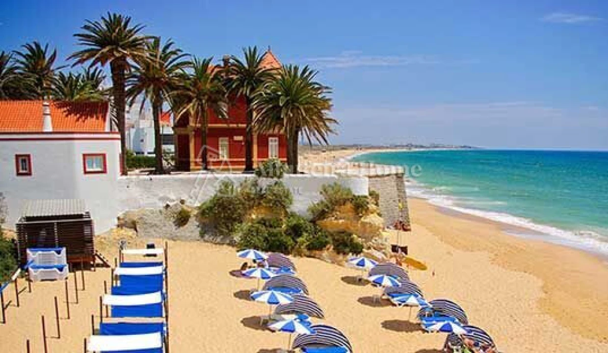 Quinta T3 para Venda em Algoz e Tunes Foto 1