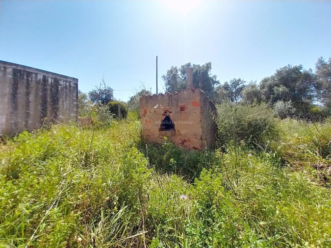 Quinta T3 para Venda em Algoz e Tunes Foto 8