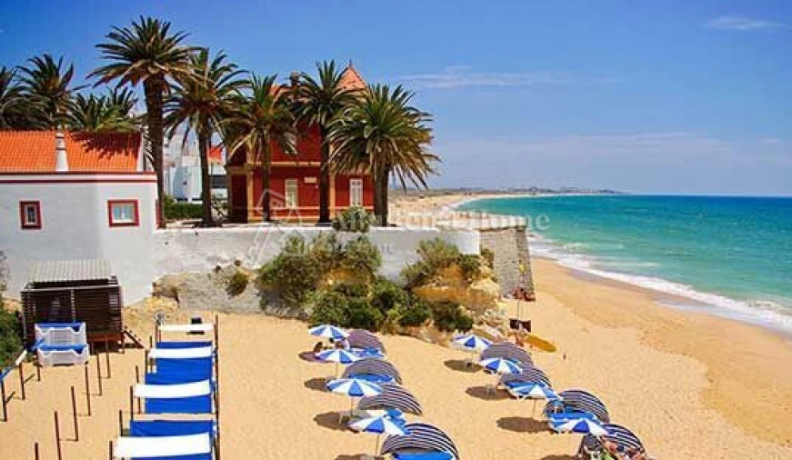 Quinta T3 para Venda em Algoz e Tunes Foto 1