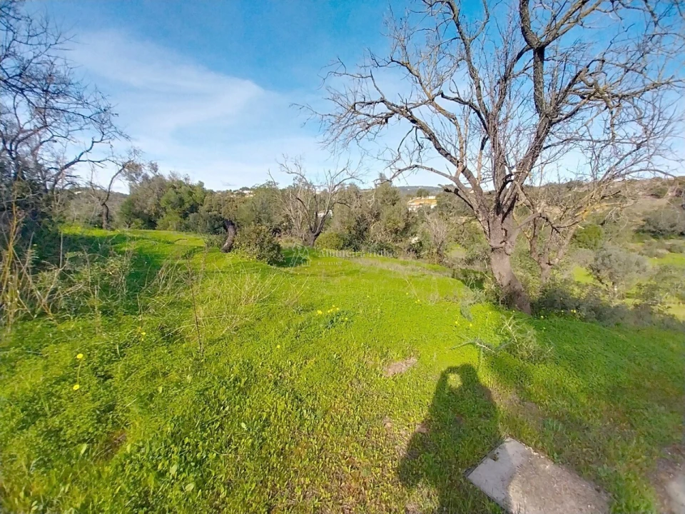 Quinta T3 para Venda em Boliqueime Foto 17