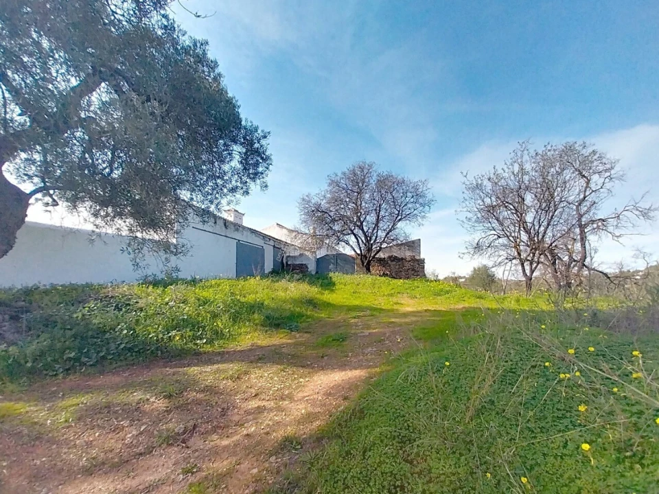 Quinta T3 para Venda em Boliqueime Foto 14