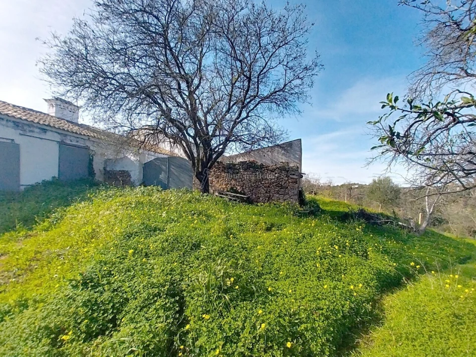 Quinta T3 para Venda em Boliqueime Foto 16