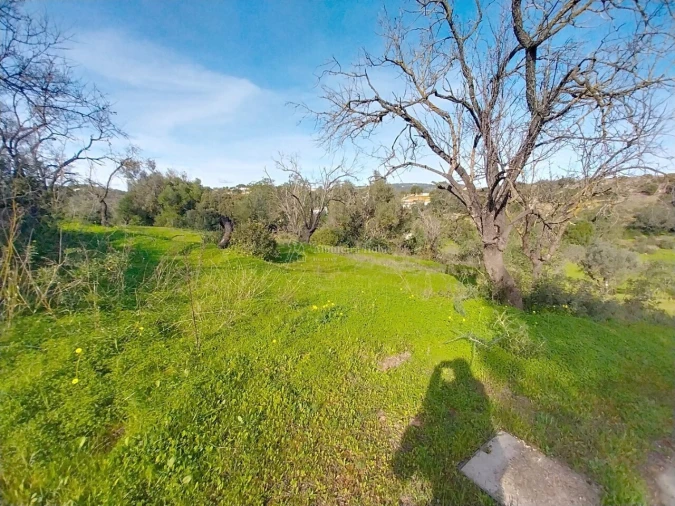 Quinta T3 para Venda em Boliqueime Foto 17