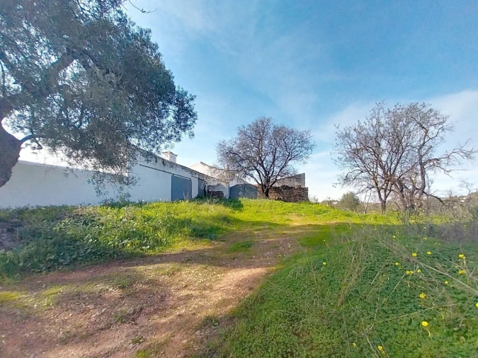 Quinta T3 para Venda em Boliqueime Foto 14