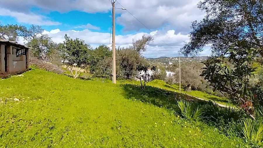 Quinta T4 para Venda em Paderne