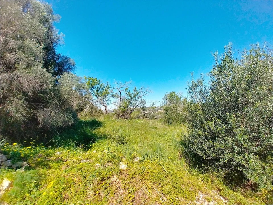 Terreno para Venda em Paderne Foto 6