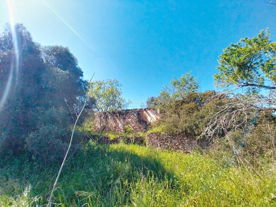 Terreno para Venda em Paderne Foto 7