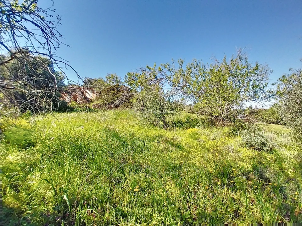 Terreno para Venda em Paderne Foto 10