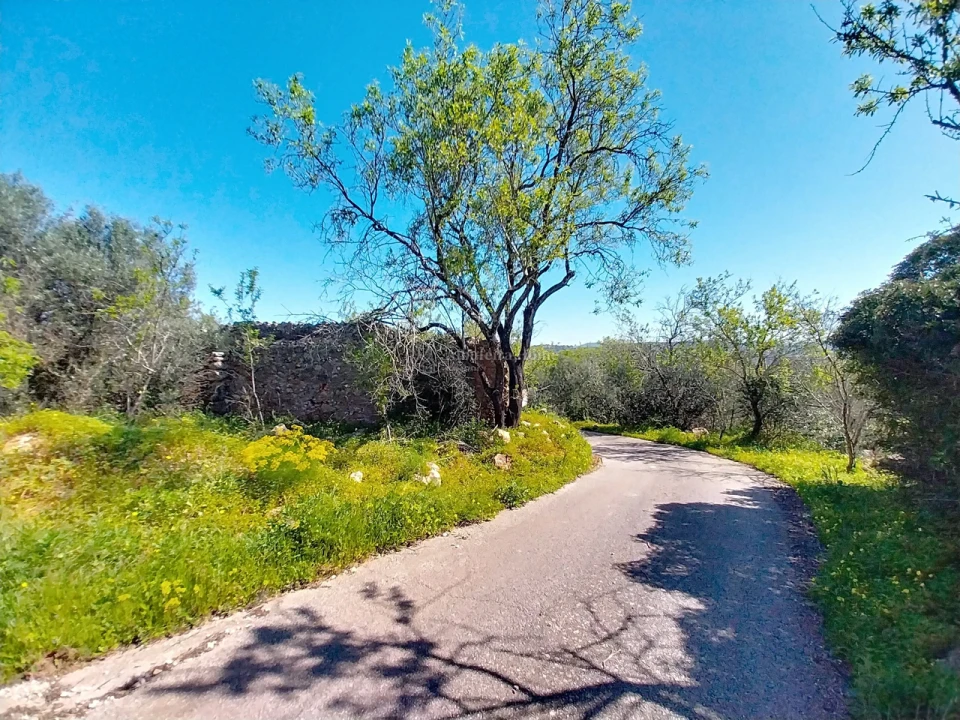 Terreno para Venda em Paderne Foto 5