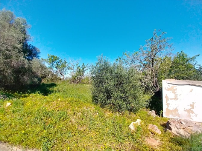 Terreno para Venda em Paderne