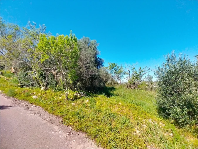 Terreno para Venda em Paderne Foto 2