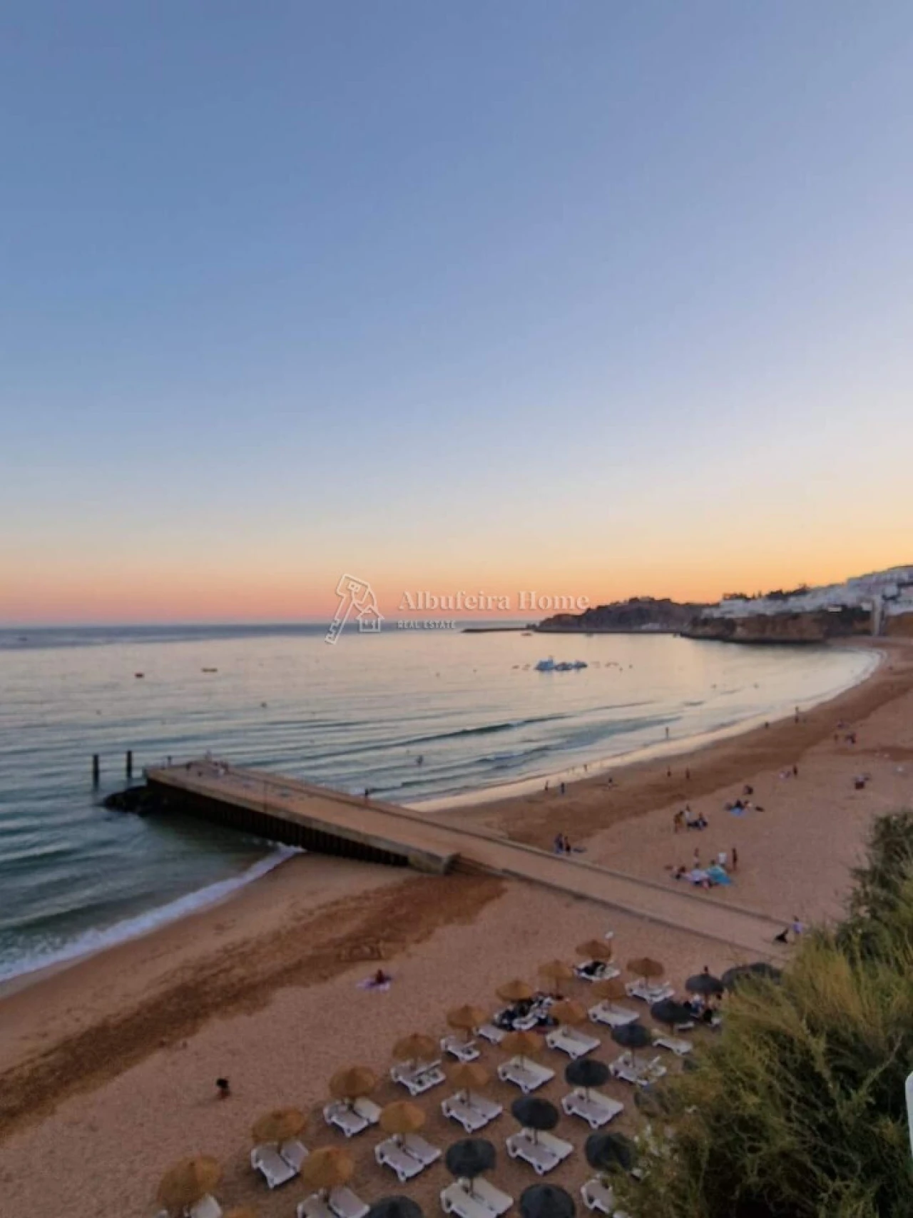 Quinta T8 para Venda em Guia Foto 4