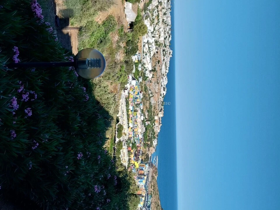 Quinta T8 para Venda em Guia Foto 2