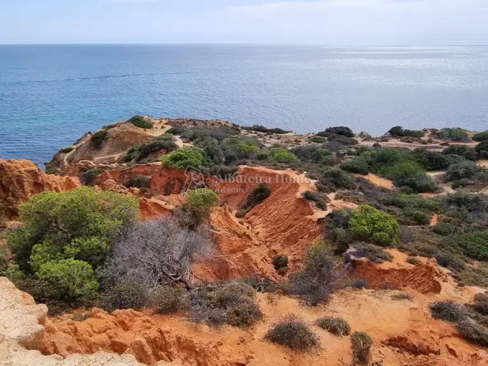 Quinta T8 para Venda em Guia Foto 5