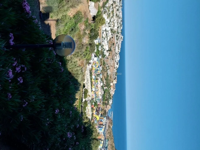 Quinta T8 para Venda em Guia Foto 2