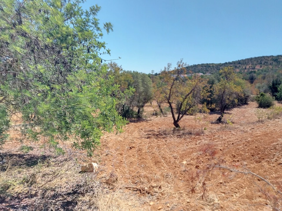 Terreno para Venda em Paderne Foto 3
