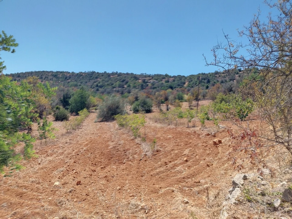 Terreno para Venda em Paderne Foto 6