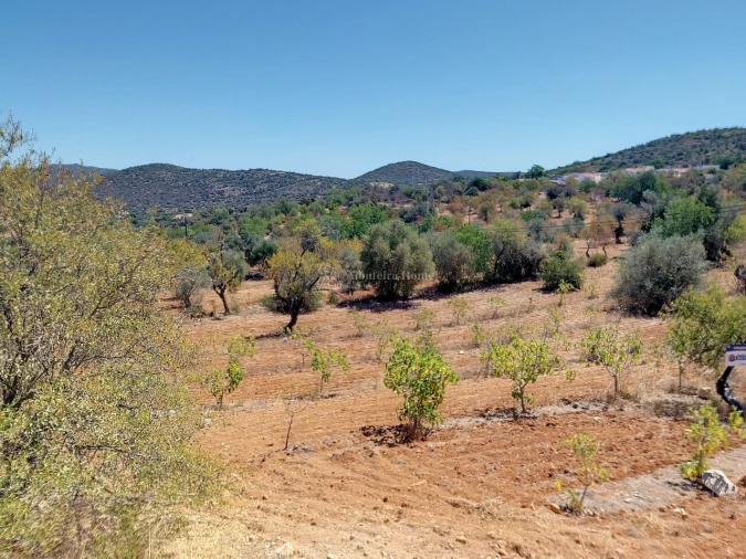 Terreno para Venda em Paderne Foto 4