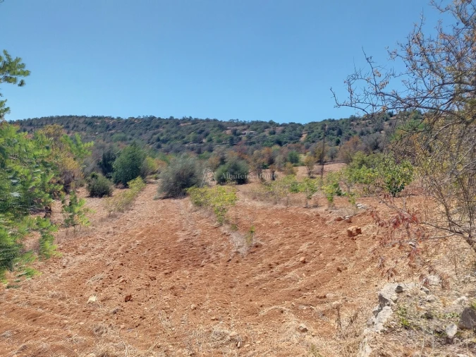 Terreno para Venda em Paderne Foto 6