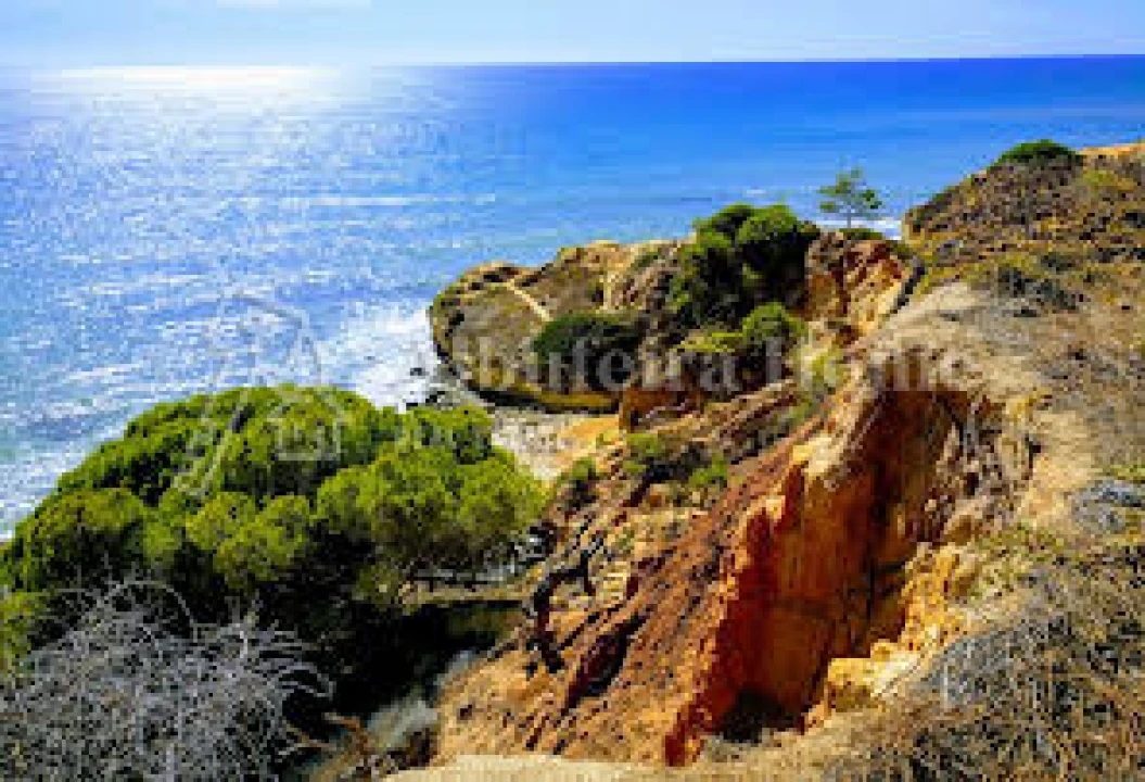 Apartamento T2 para Venda em Albufeira e Olhos de Água Foto 22