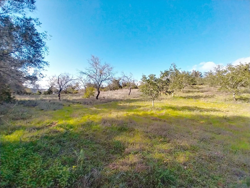 Terreno para Venda em Paderne Foto 10