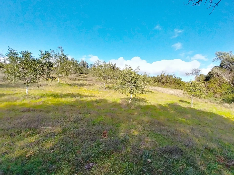 Terreno para Venda em Paderne Foto 12