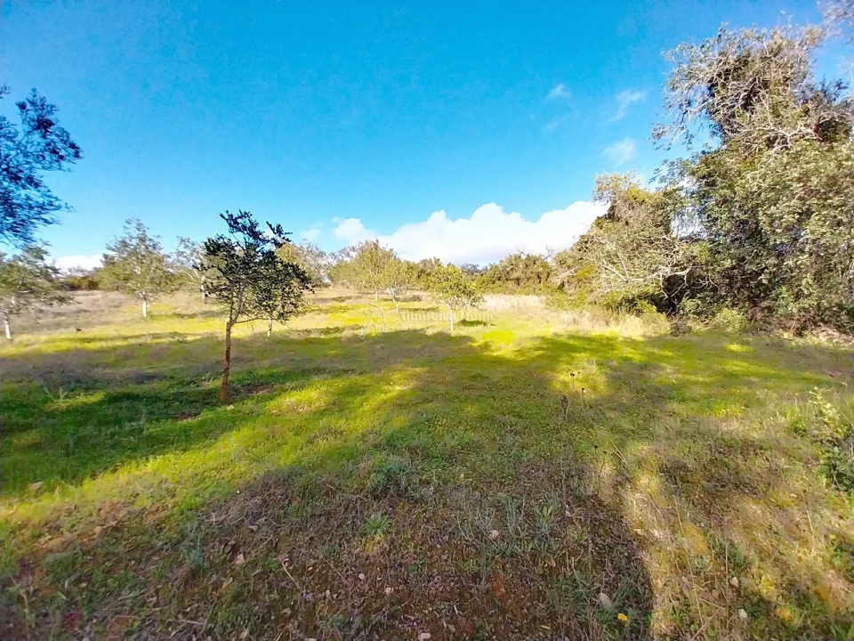 Terreno para Venda em Paderne Foto 13