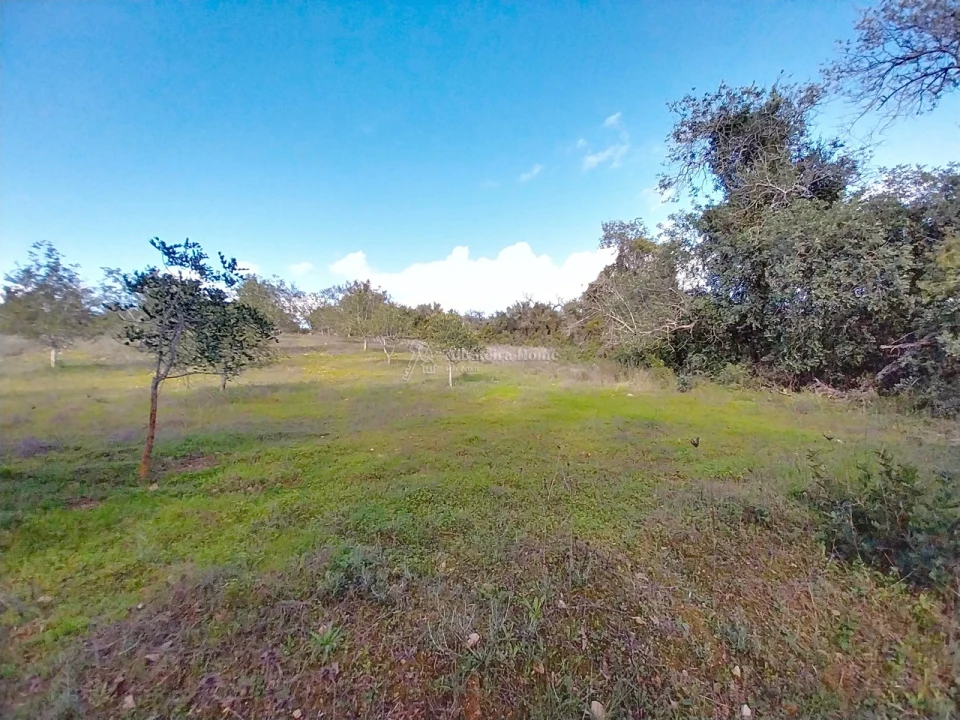 Terreno para Venda em Paderne Foto 11