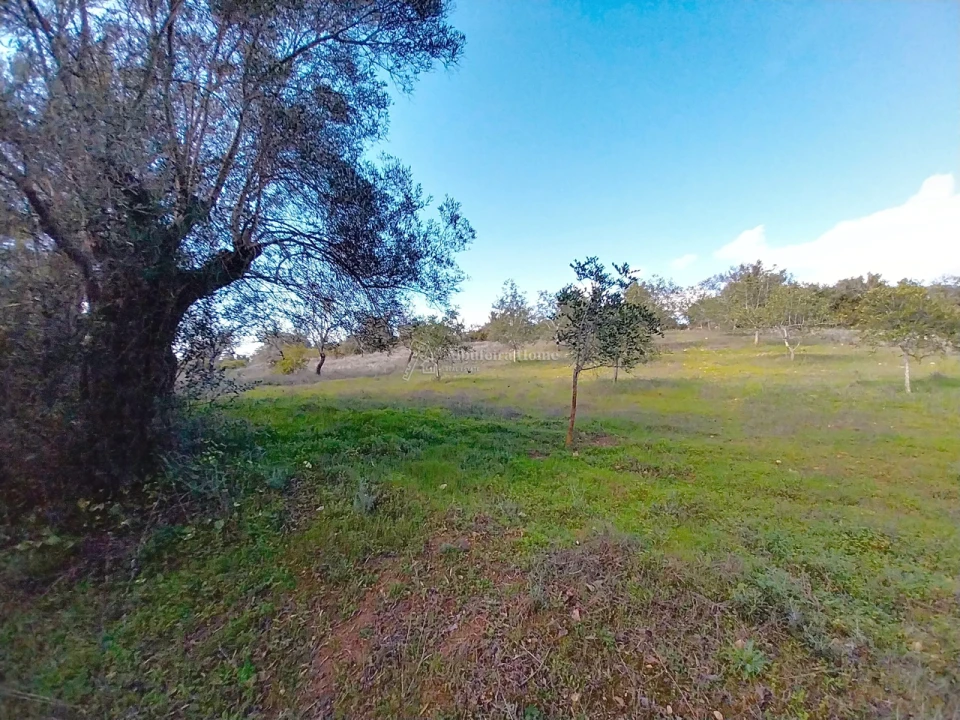 Terreno para Venda em Paderne Foto 14