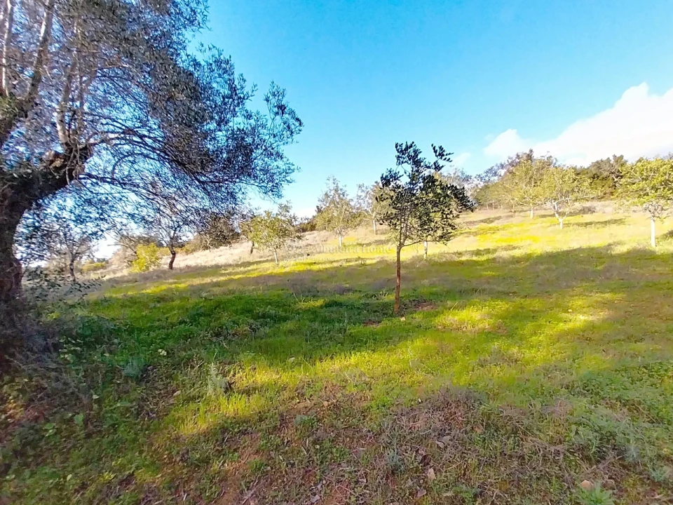 Terreno para Venda em Paderne Foto 15