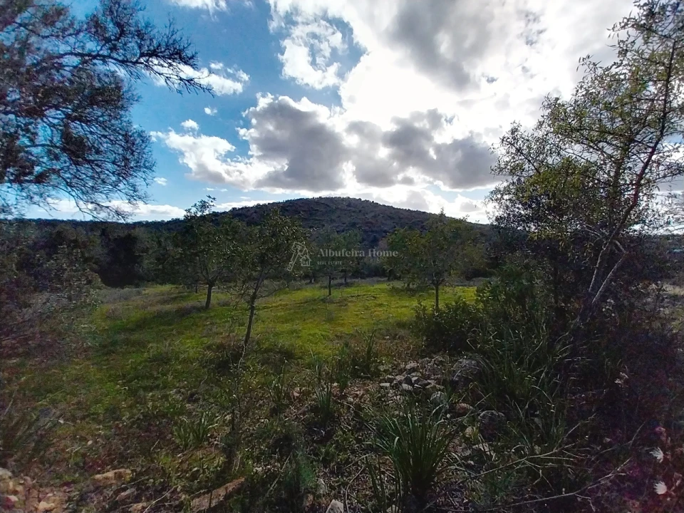 Terreno para Venda em Paderne Foto 2