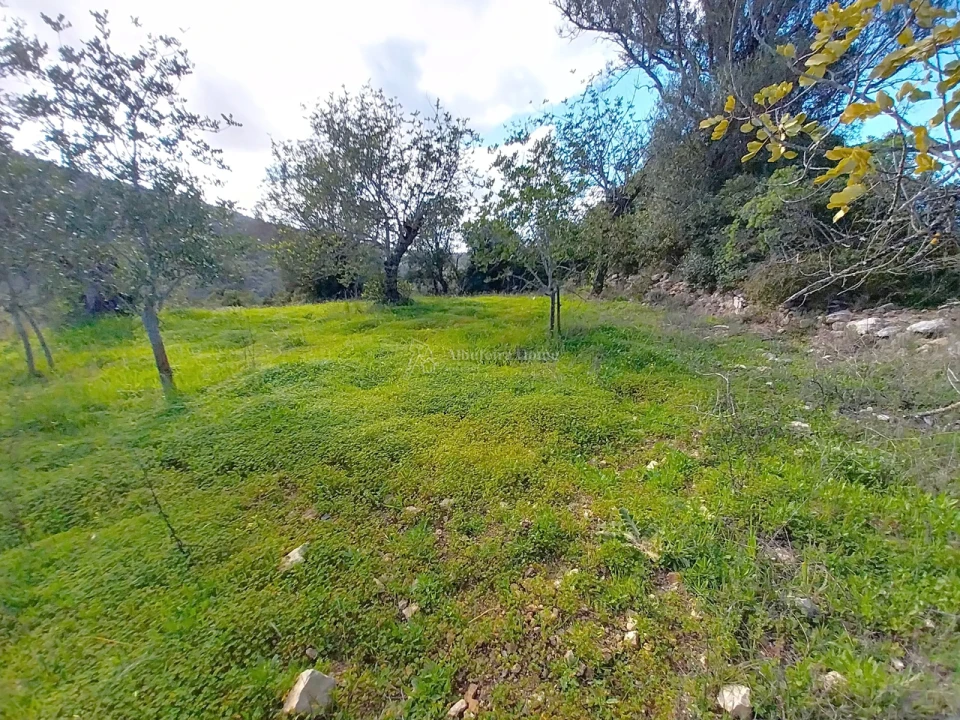 Terreno para Venda em Paderne Foto 4