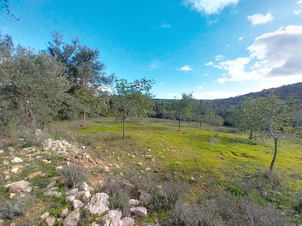 Terreno para Venda em Paderne Foto 5