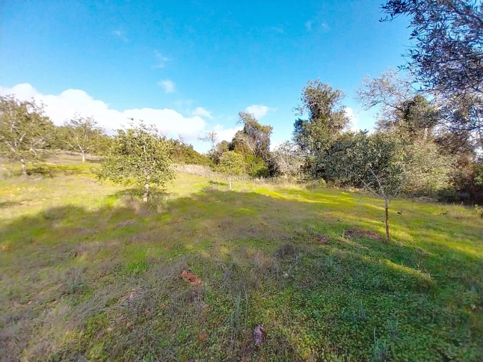 Terreno para Venda em Paderne Foto 9