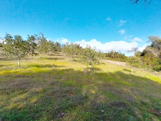 Terreno para Venda em Paderne Foto 12