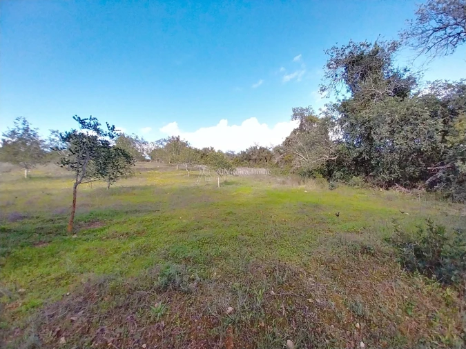 Terreno para Venda em Paderne Foto 11