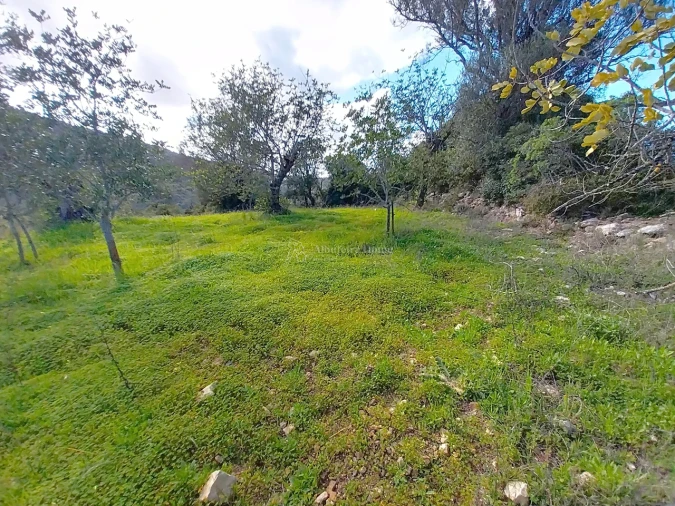 Terreno para Venda em Paderne Foto 4