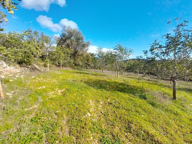 Terreno para Venda em Paderne Foto 6